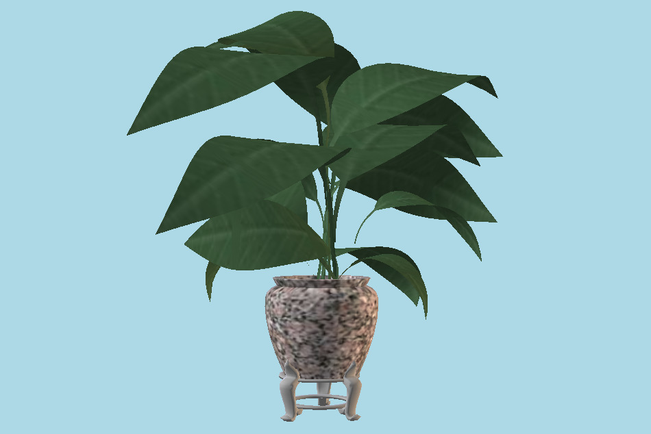 Vase Plant 3d model